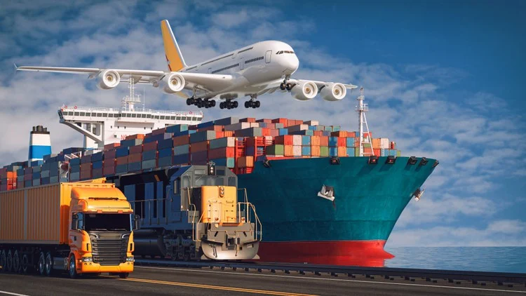 Logistics and Export